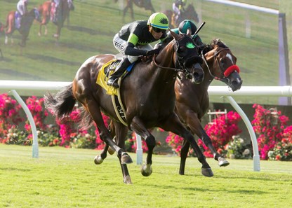 Bowies Hero wins the 2017 Oceanside Stakes