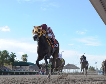 Curlin's Approval wins the 2017 Princess Rooney