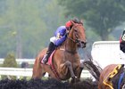Swansea Mile wins the A. P. Smithwick Memorial Hurdle Stakes at Saratoga Race Course