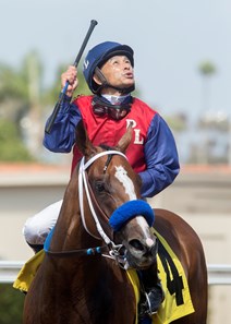 Miss Sunset wins the 2017 Fleet Treat Stakes