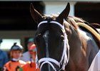 Girvin in the paddock prior to winning the Haskell Invitational