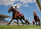 Dona Bruja wins the Modesty Handicap