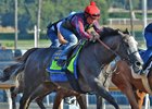 Arrogate works July 15 at Santa Anita Park