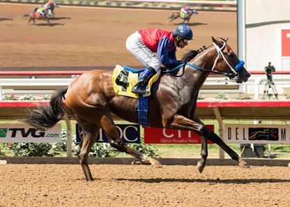 Miss Sunset wins the 2017 Fleet Treat Stakes