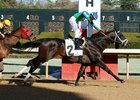 Gentleman's Bet retires with seven wins and $744,155 in earnings
