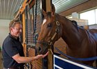 A. P. Indian and trainer Arnaud Delacour at Fair Hill