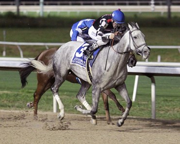 Jockamo's Song wins the 2017 Louisiana Legends Sprint Stakes