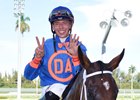 Gaffalione Rides Track Record-Equaling Seven Winners Gaffalione Rides Track Record-Equaling Seven Winners