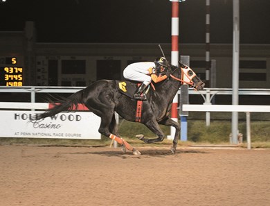 Ben's Cat wins the $200,000 Fabulous Strike Handicap at Penn National on November 29, 2014.
Photo by: B&D Photography