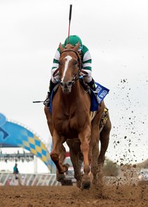 Stellar Wind wins the 2017 Clement L. Hirsch Stakes (G1)