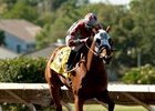 Kimberlea K, with jockey Frank Alvarado aboard, wins the Everett Nevin Stakes in her second start