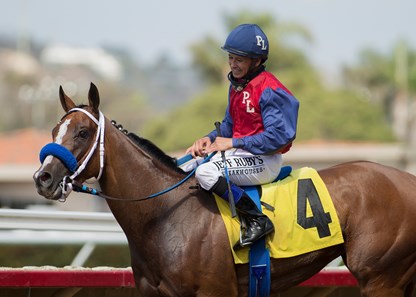 Miss Sunset wins the 2017 Fleet Treat Stakes