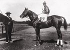 Sun Briar