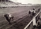 Ponder: An American Derby Icon Ponder: An American Derby Icon