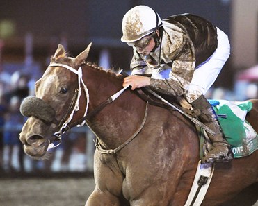 Danzatrice wins the 2017 Iowa Distaff Stakes