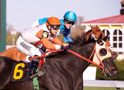 Ben’s Cat ridden by Horacio Karamanos wins the $75,000 Mister Diz Stakes for 3-year-olds and up at Pimlico Race Course on Saturday, April 7, 2012.