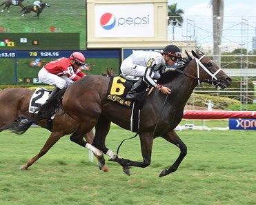 Adorable Miss wins the 2017 Martha Washington