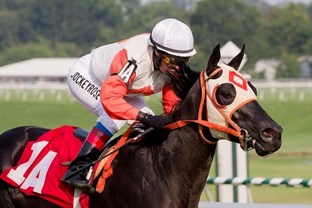 In this photo released by the Maryland Jockey Club, Ben’s Cat ridden by Rosemary Homeister, Jr. wins the $50,000 Mister Diz Stakes for older horses at Laurel Park in Maryland on Saturday, Aug. 21, 2010.