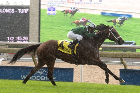 Green Mask with Jockey Javier Castellano wins the 2017 Highlander Stakes.