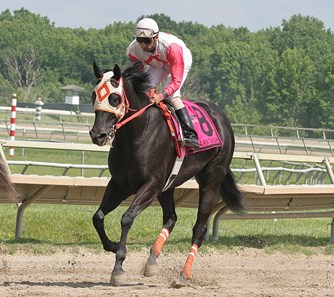 Ben's Cat #8 with Julian Pimentel riding won the $150,000 Parx Dash Stakes at Parx Racing in Bensalem, Pennsylvania June 17, 2012.