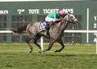 Pure Sensation taking the Parx Dash last month
