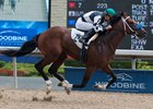 Ellas My Love wins by 2 1/2 lengths to become his sire's first winner