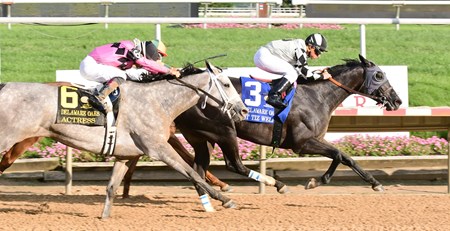 It Tiz Well; Drayden Van Dyke; Delaware Oaks; G3; Delaware Park; July 8 2017