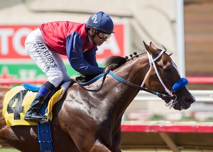 Miss Sunset wins the 2017 Fleet Treat Stakes