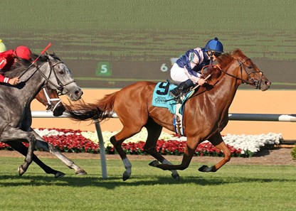 Beauly winning Indiana General Assembly Distaff under James Graham