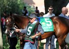 Songbird in the paddock prior to winning the Delaware Handicap