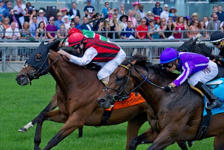 Go Bro and Jockey Jesse Campbell win the 2017 King Edward Stakes