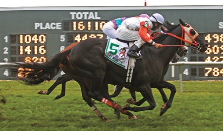Ben's Cat #5 with Julian Pimentel riding edged out Chamberlain Bridge #11 with Paco Lopez and Great Mills with Frankie Pennington third in the $350,000 Grade III Turf Monster Handicap at Parx Racing in Bensalem, PA on Monday September 3, 2012.