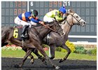 Into the Gray led at every pole to become the first winner for Graydar