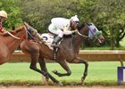 Tender Boy outruns Irish Valor to the line to become his sire's first winner
