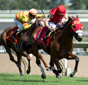 Aldous Snow with Jockey Eurico Da Silva wins the 2017 Singspiel Stakes
