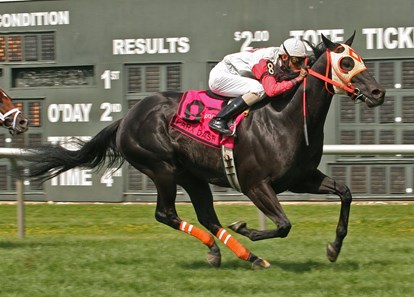 Ben's Cat #8 with Julian Pimentel riding won the $150,000 Parx Dash Stakes at Parx Racing in Bensalem, Pennsylvania June 17, 2012.