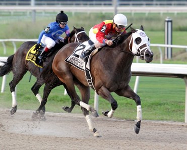 Look Into My Eyes wins the 2017 Louisiana Legends Mademoiselle Stakes