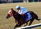El Deal rolls to victory in the Vanderbilt