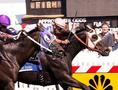 Ben's Cat with Julien Pimentel up, holds off Bold Thunder to win the 10th Running of the Jim McKay Stakes at Pimlico on May 15, 2015.