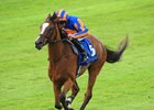 Actress wins the Jebel Ali Silver Jubilee Anglesey Stakes to become the first black-type winner for Declaration of War
