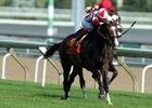 Inflexibility wins the 2017 Wonder Where Stakes