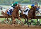 Stellar Wind and Vale Dori duel to the wire in the Clement L. Hirsch at Del Mar