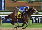 Horse of the Year Rachel Alexandra's half brother Fayeq posted a 3 1/2-length victory July 26 at Saratoga