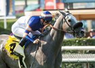 Enola Gray wins the Wilshire Stakes