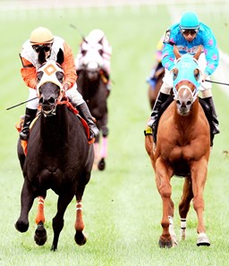 LAUREL, MD. 10-01-11---The Jim Stable’s Ben’s Cat launched his patented late burst to win the $100,000 Jim McKay Maryland Million Turf Sprint at Laurel Park for the second straight year with Jeremy Rose aboard.