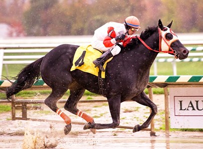 In this photo released by the Maryland Jockey Club, Ben’s Cat ridden by Jeremy Rose wins the $75,000 Laurel Dash Stakes for three-year-olds and up at Laurel Park on Saturday, October 29, 2011.