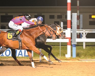 Ben's Cat wins the 2012 Fabulous Strike Handicap at Penn National Racecourse.