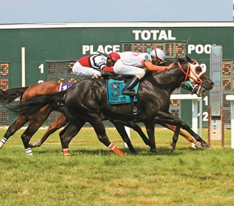 Ben's Cat #9 with Julian Pimentel riding won the $200,000 Parx Dash at Parx Racing in Bensalem, Pennsylvania July 12, 2014. Photo By Barbara Weidl / EQUI-PHOTO