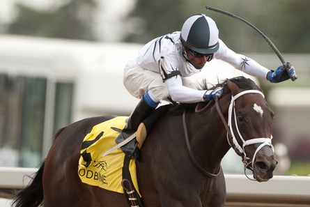 Toronto Ont.July 9, 2017 Woodbine Racetrack.Jockey Patrick Husbands guides owners East West Stable's Enstone to victory in the $225,000 dollar Bison City Stakes at Woodbine Racetrack.Enstone is trained by Mark Casse. michael burns photo
