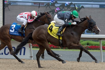 Glamanation wins the 2017 Shady Well Stakes